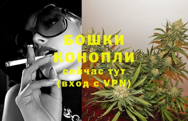 молекула духа Пересвет