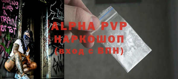 молекула духа Пересвет