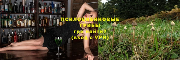 молекула духа Пересвет