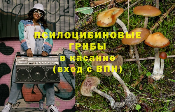 спиды Гатчина