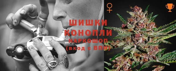 молекула духа Пересвет