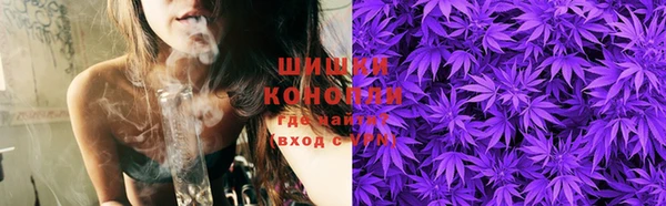 молекула духа Пересвет