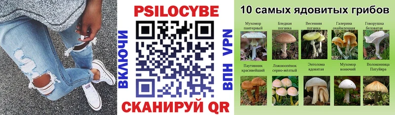 мега как войти  магазин    Калуга  Галлюциногенные грибы GOLDEN TEACHER 