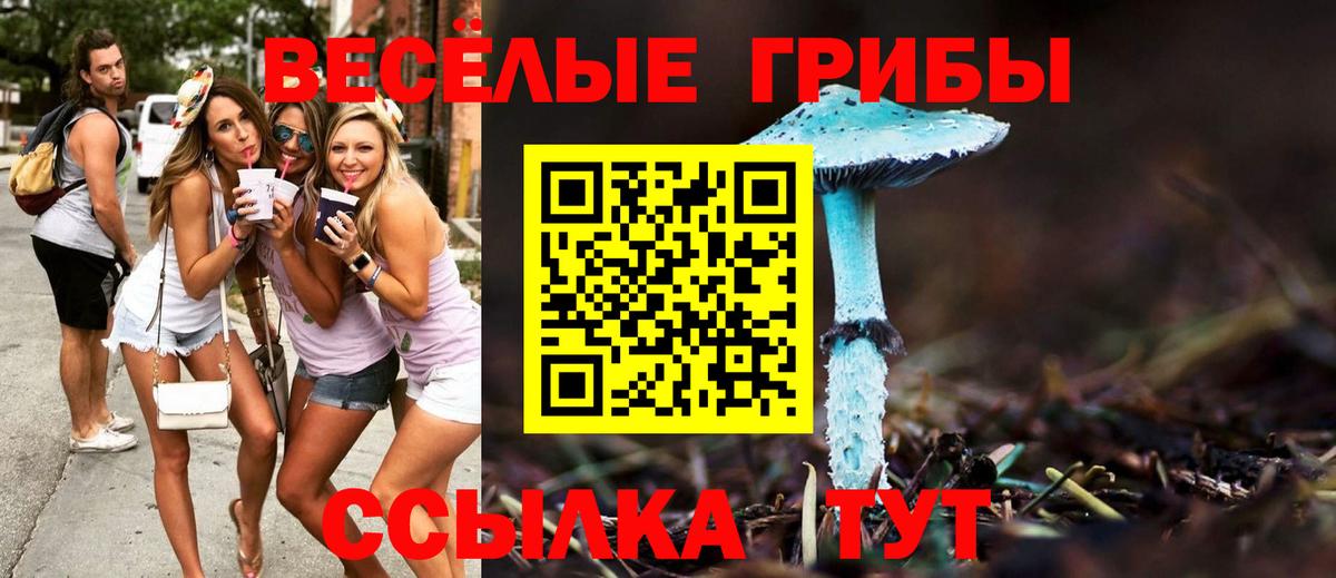 Галлюциногенные грибы прущие грибы  Вход с VPN  Калуга 